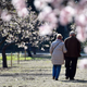 Image for article titled Baby Boomers Are Experiencing Greater Cognitive Decline Than Previous Generations, Study Finds